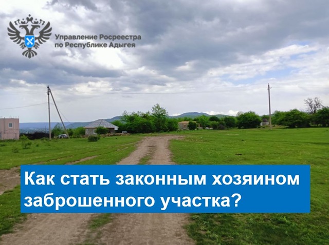 zabroshenniy ychastok